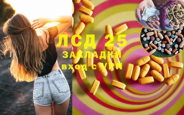 ПСИЛОЦИБИНОВЫЕ ГРИБЫ Тайга
