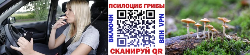 Галлюциногенные грибы мухоморы  Короча 